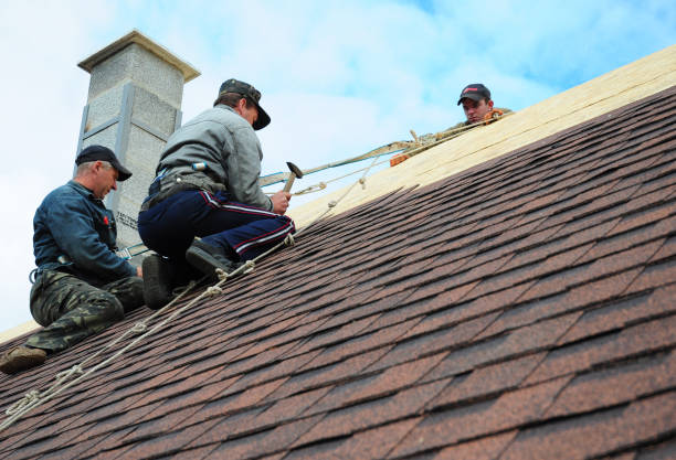 Best Best Roofing Contractors  in Shadeland, IN